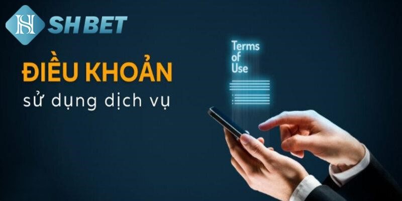 Điều kiện và điều khoản có vai trò gì