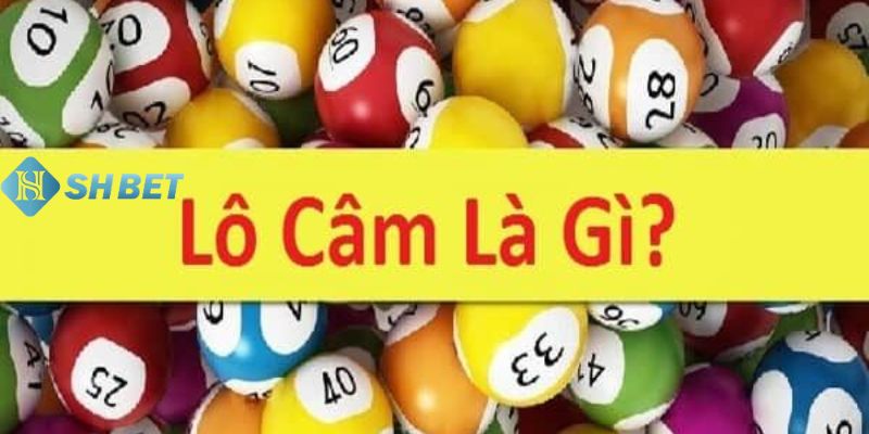 Lô câm là gì?