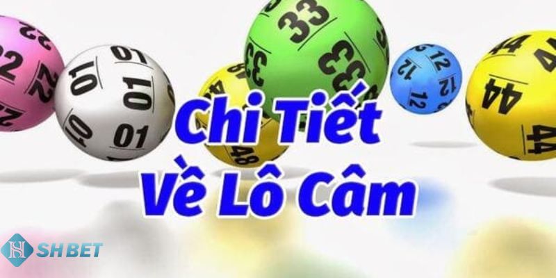 Lô câm là gì? Đánh lô câm hôm sau nên chọn con gì?
