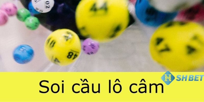 Mẹo để chiến thắng khi đánh lô câm là gì?