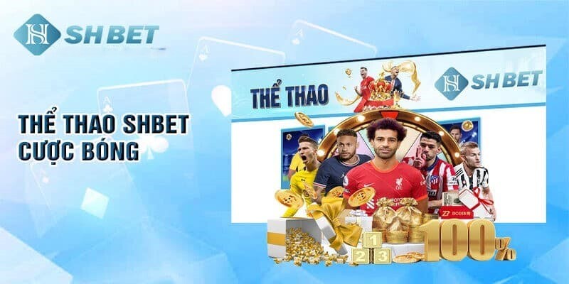 Kinh nghiệm cược tiền vào sảnh thể thao