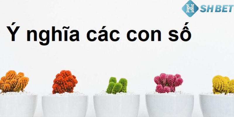 ý nghĩa các con số trong lô đề