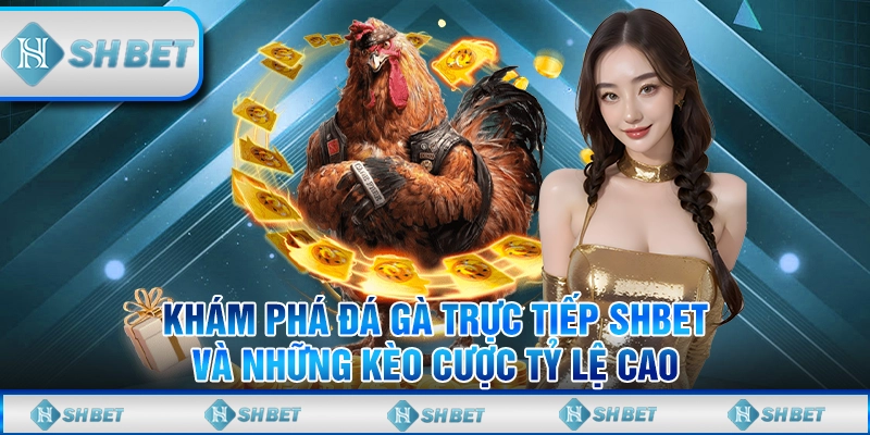 Khám Phá Đá Gà Trực Tiếp SHBET Và Những Kèo Cược Tỷ Lệ Cao