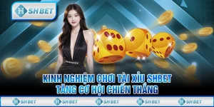 Kinh Nghiệm Chơi Tài Xỉu SHBET - Tăng Cơ Hội Chiến Thắng
