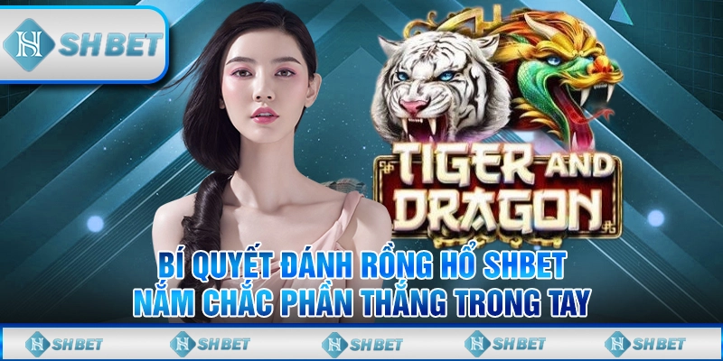 Bí Quyết Đánh Rồng Hổ SHBET - Nắm Chắc Phần Thắng Trong Tay