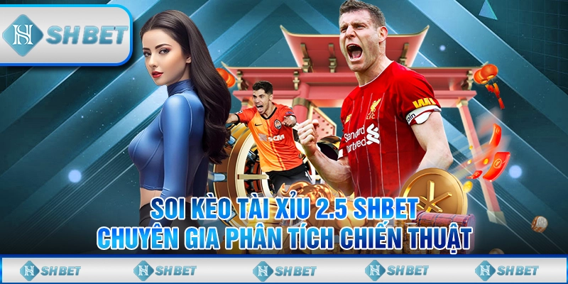 Soi Kèo Tài Xỉu 2.5 SHBET - Chuyên Gia Phân Tích Chiến Thuật