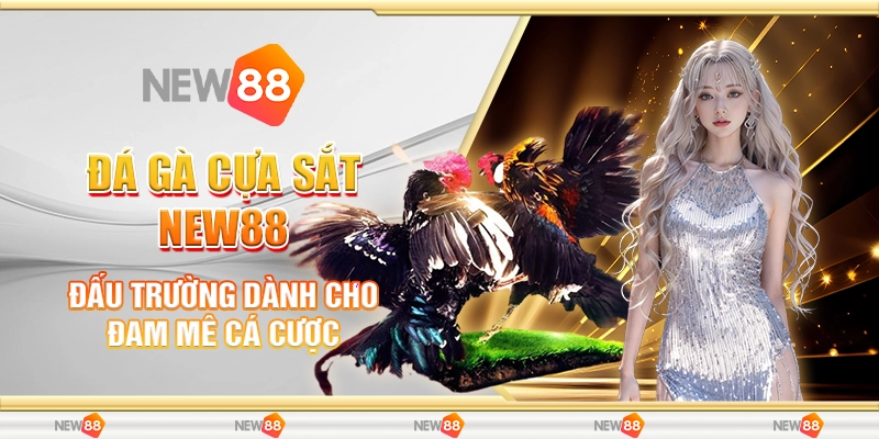 đá gà cựa sắt