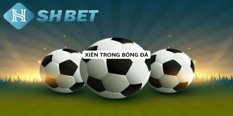 Giới thiệu cược xiên bóng đá
