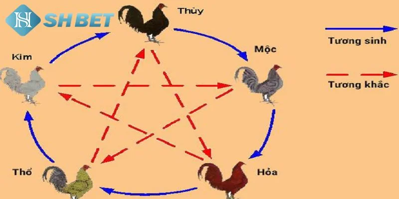 Giới thiệu về màu mạng gà đá chuẩn xác