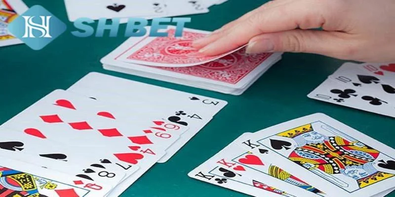 Lý do nên chọn SHBET để chơi phỏm tá lả