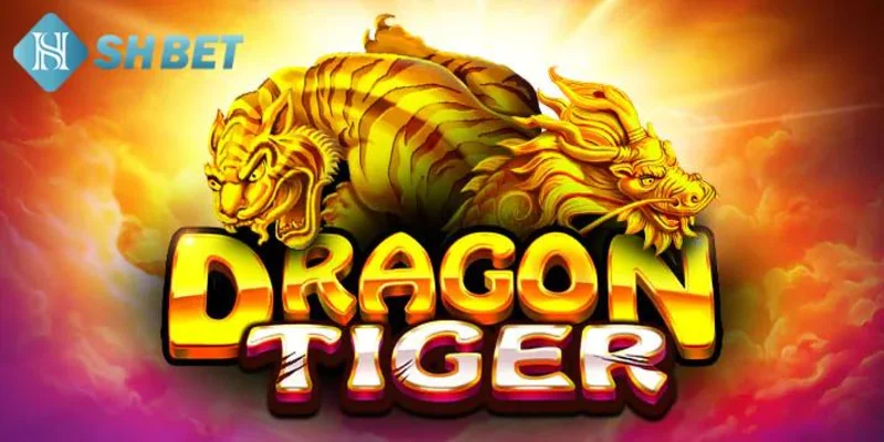 Mẹo đánh rồng hổ giúp tăng cơ hội thắng