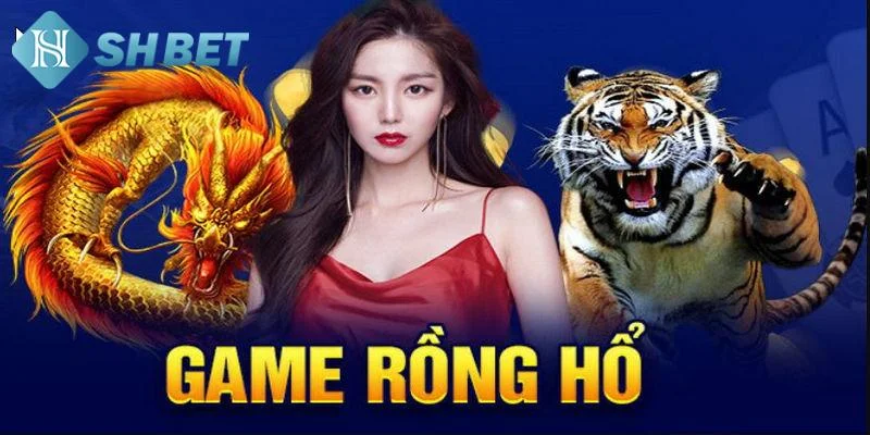 Những lưu ý quan trọng khi áp dụng mẹo đánh rồng hổ