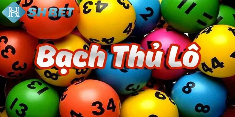 Tại sao nên chọn SHBET để chơi