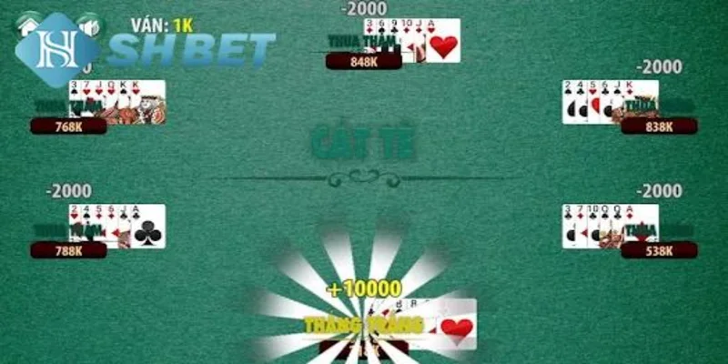 Tìm hiểu về cát tê tại SHBET