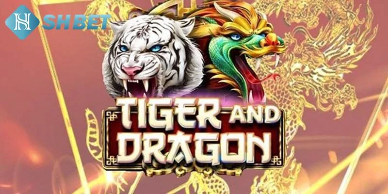 Tổng quan về game rồng hổ SHBET