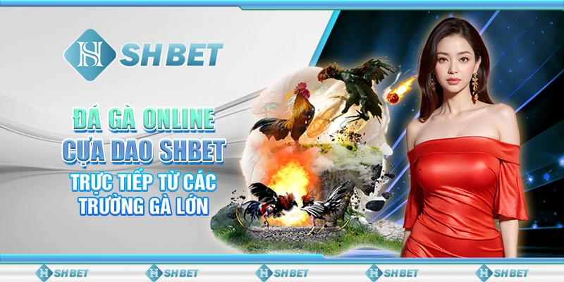 Đá Gà Online Cựa Dao SHBET - Trực Tiếp Từ Các Trường Gà Lớn