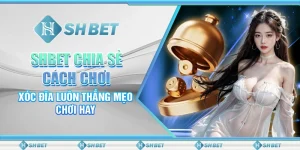 SHBET Chia Sẻ Cách Chơi Xóc Đĩa Luôn Thắng - Mẹo Chơi Hay