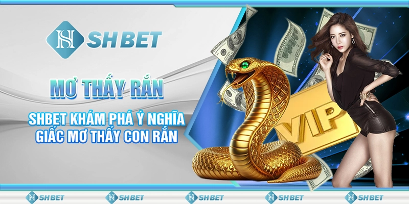 Mơ Thấy Rắn - SHBET Khám Phá Ý Nghĩa Giấc Mơ Thấy Con Rắn