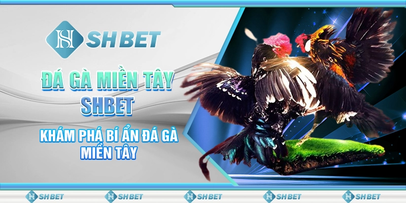Đá Gà Miền Tây SHBET - Khám Phá Bí Ẩn Đá Gà Miền Tây