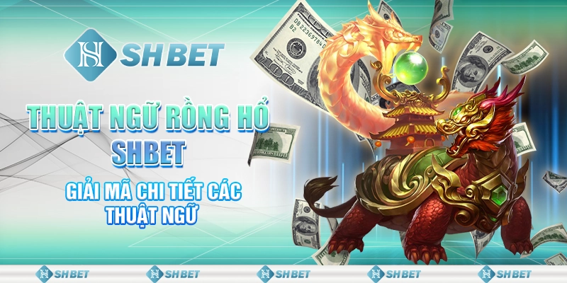 Thuật Ngữ Rồng Hổ SHBET - Giải Mã Chi Tiết Các Thuật Ngữ