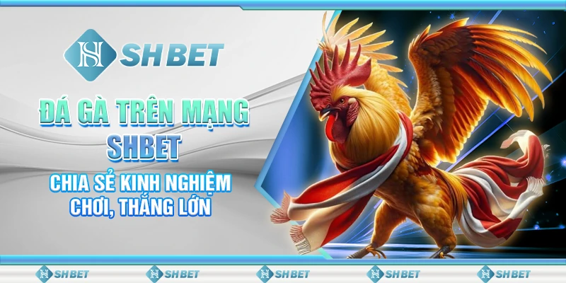 Đá Gà Trên Mạng SHBET - Chia Sẻ Kinh Nghiệm Chơi, Thắng Lớn
