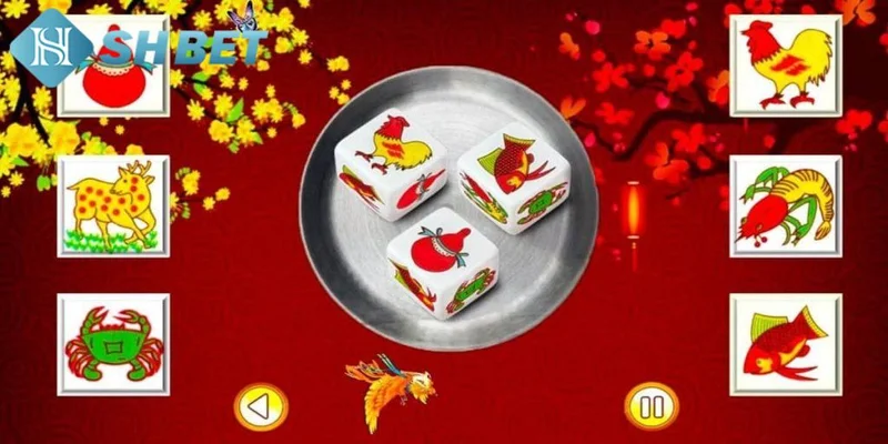 Mẹo chơi bầu cua cá cọp hiệu quả nhất