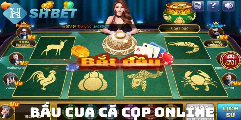 Các lưu ý để luôn thắng khi chơi bầu cua cá cọp