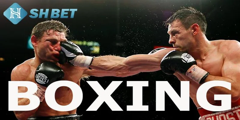 Giới thiệu về bộ môn boxing