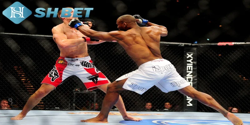 Cách thức cá cược boxing tại SHBET
