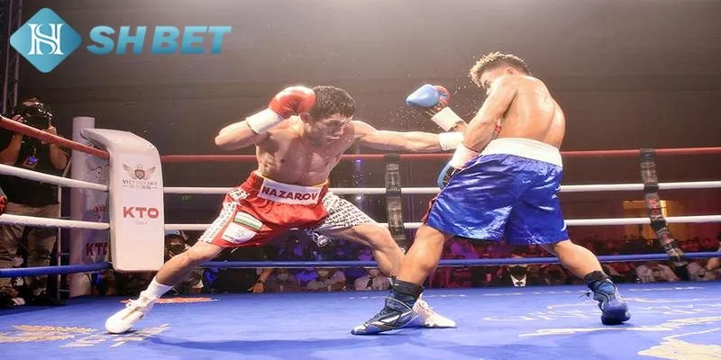 Kinh nghiệm cá cược boxing hiệu quả