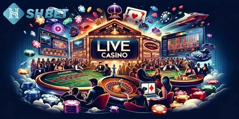 Bỏ túi mẹo chơi Casino không bao giờ thua