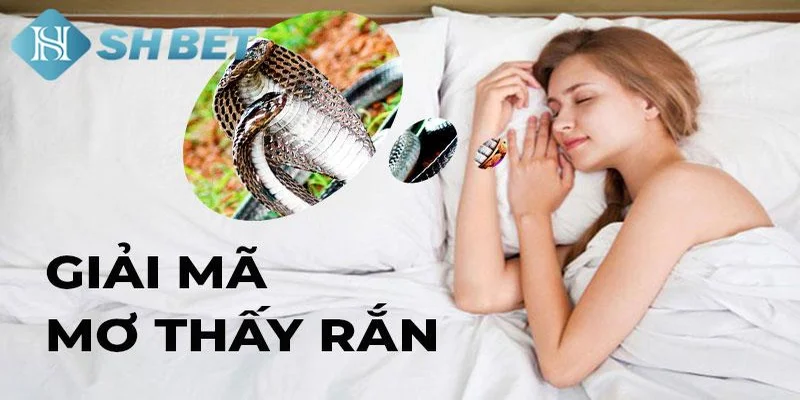 Mơ thấy rắn và tác động đến tâm lý
