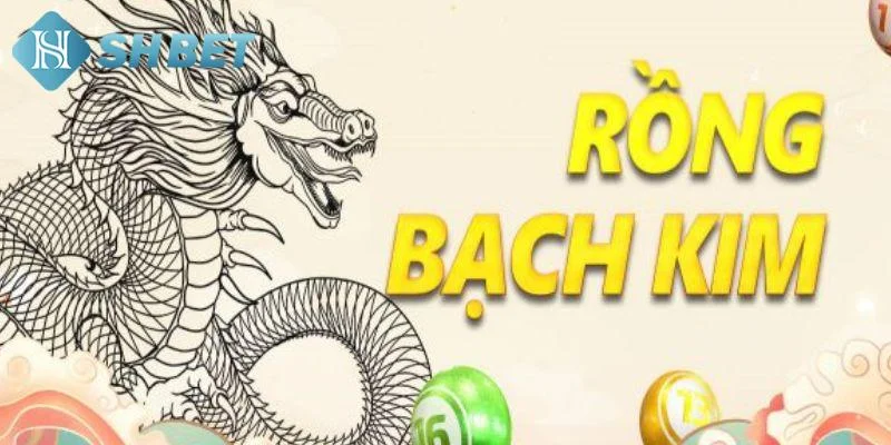 Những đặc điểm nổi bật của soi cầu bạch kim