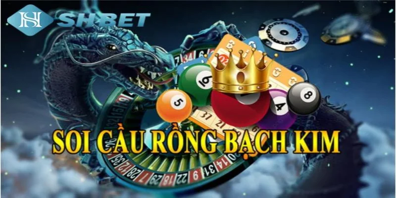 Giới thiệu về soi cầu rồng bạch kim