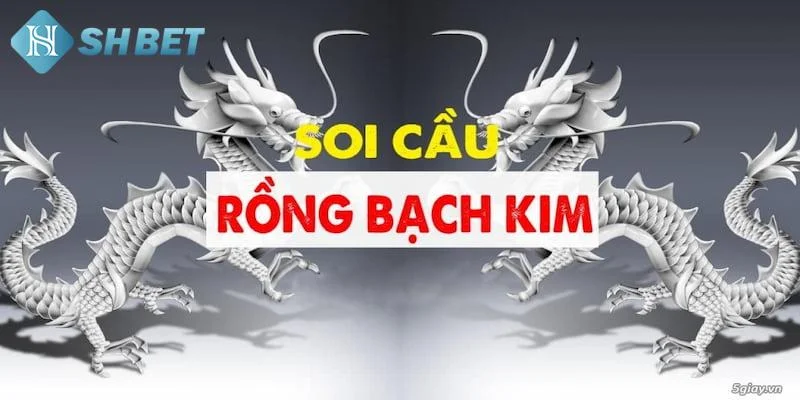 Lợi ích khi sử dụng soi cầu rồng bạch kim