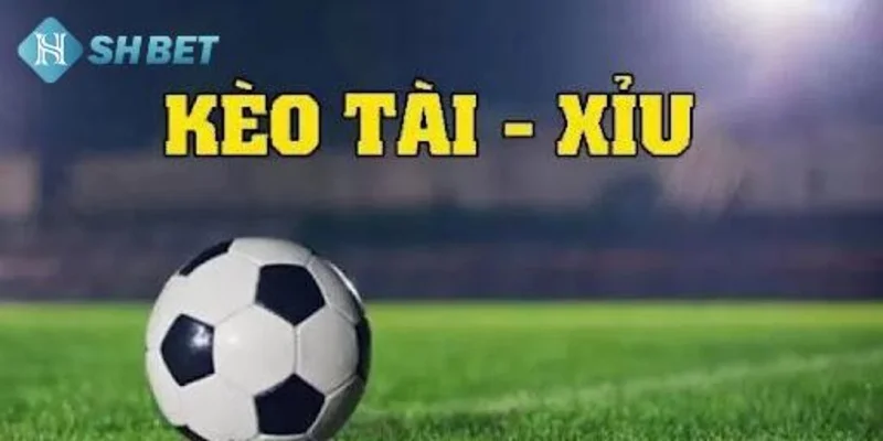 Chiến thuật chơi tài xỉu 1 trái giúp tối ưu lợi nhuận